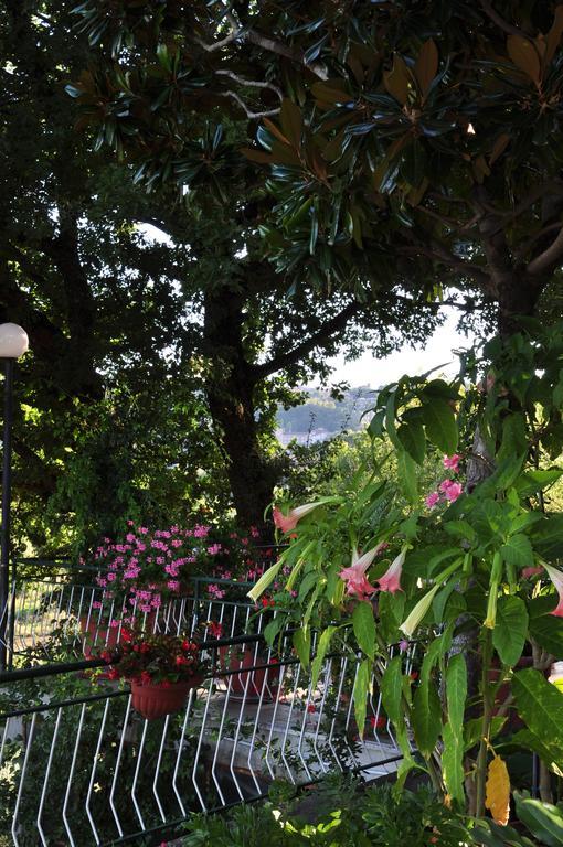Hotel Firenze Chianciano Terme Bilik gambar