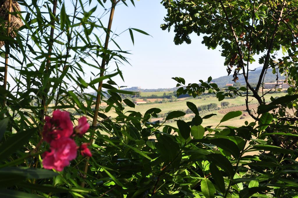 Hotel Firenze Chianciano Terme Luaran gambar